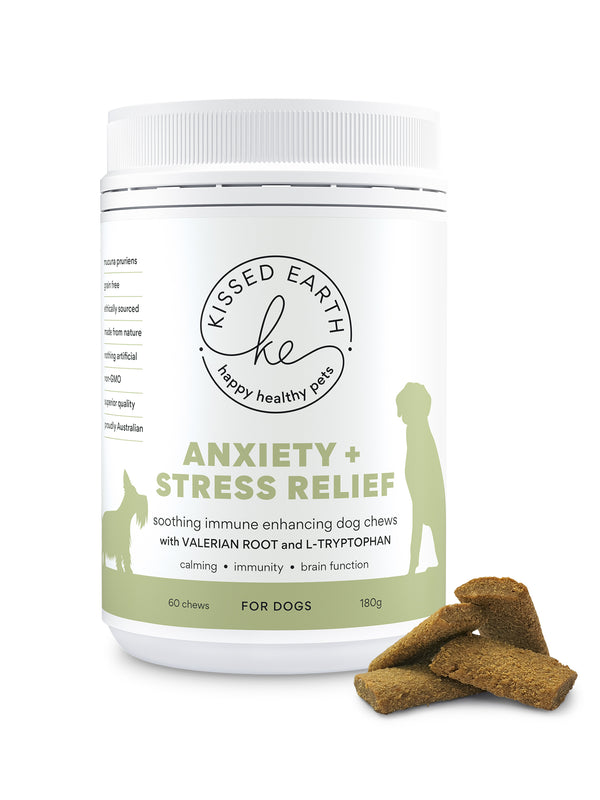 Anxiety + Stress Relief for Dogs
